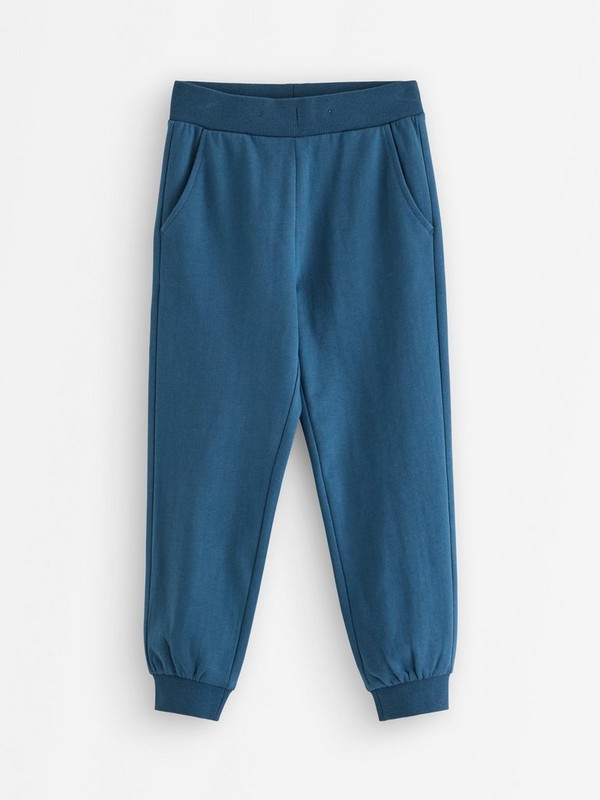Joggers brushed inside