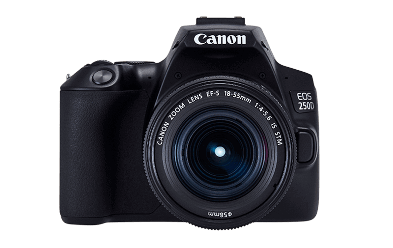 Tot Liever een miljard Canon EOS 250D - Cameras - Canon UK