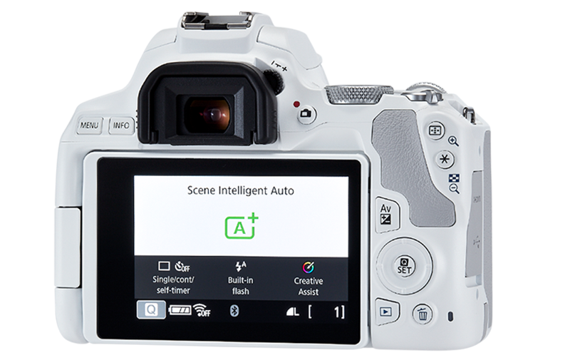 EOS 250D
