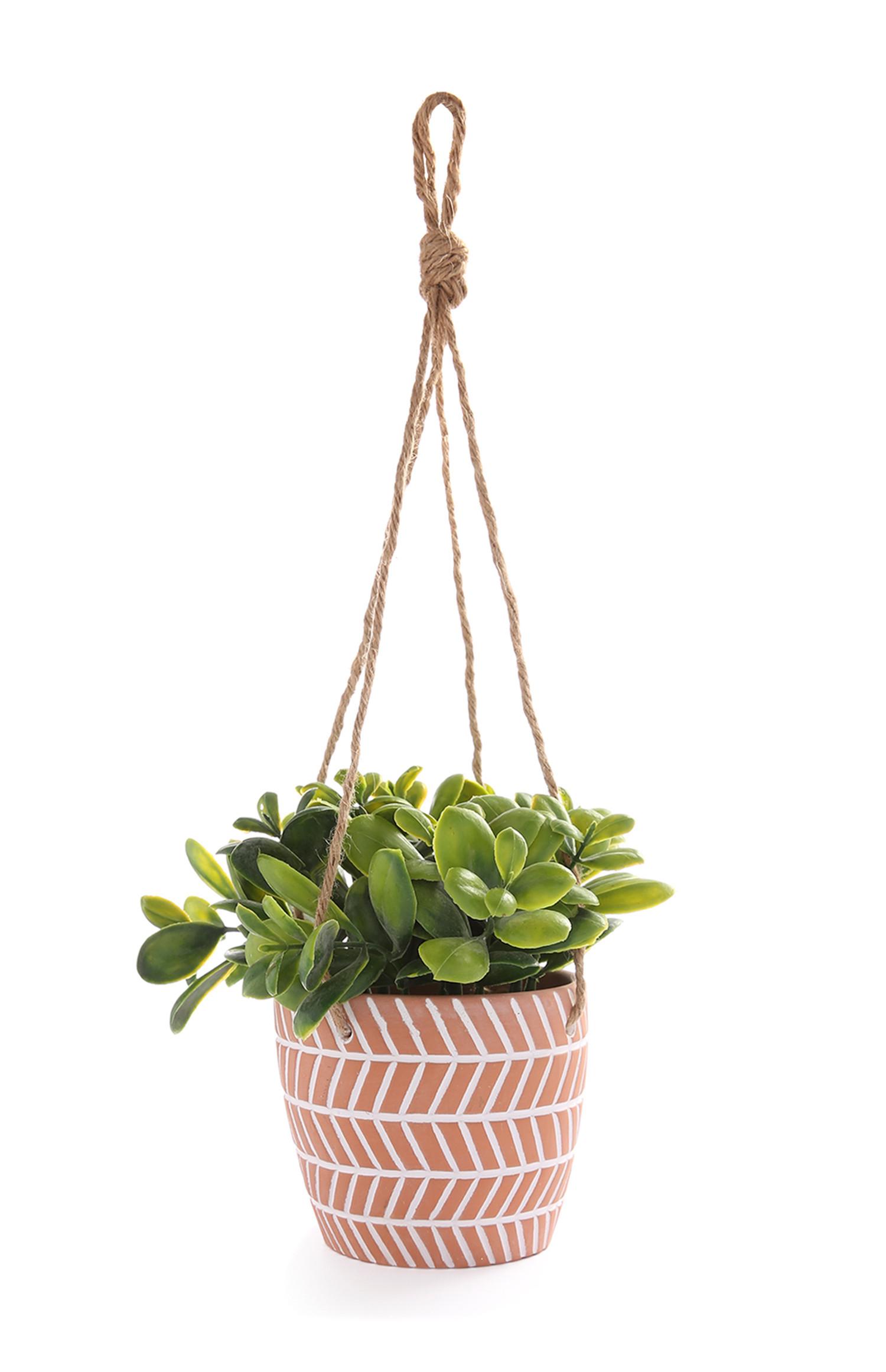 Pianta artificiale con vaso in terracotta da appendere