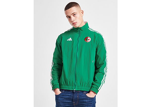 adidas Algeria Anthem Jacket - Bold Green / White - Mens, Bold Green / White