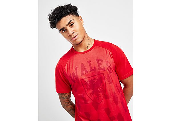 Official Team Wales Sublimated T-Shirt