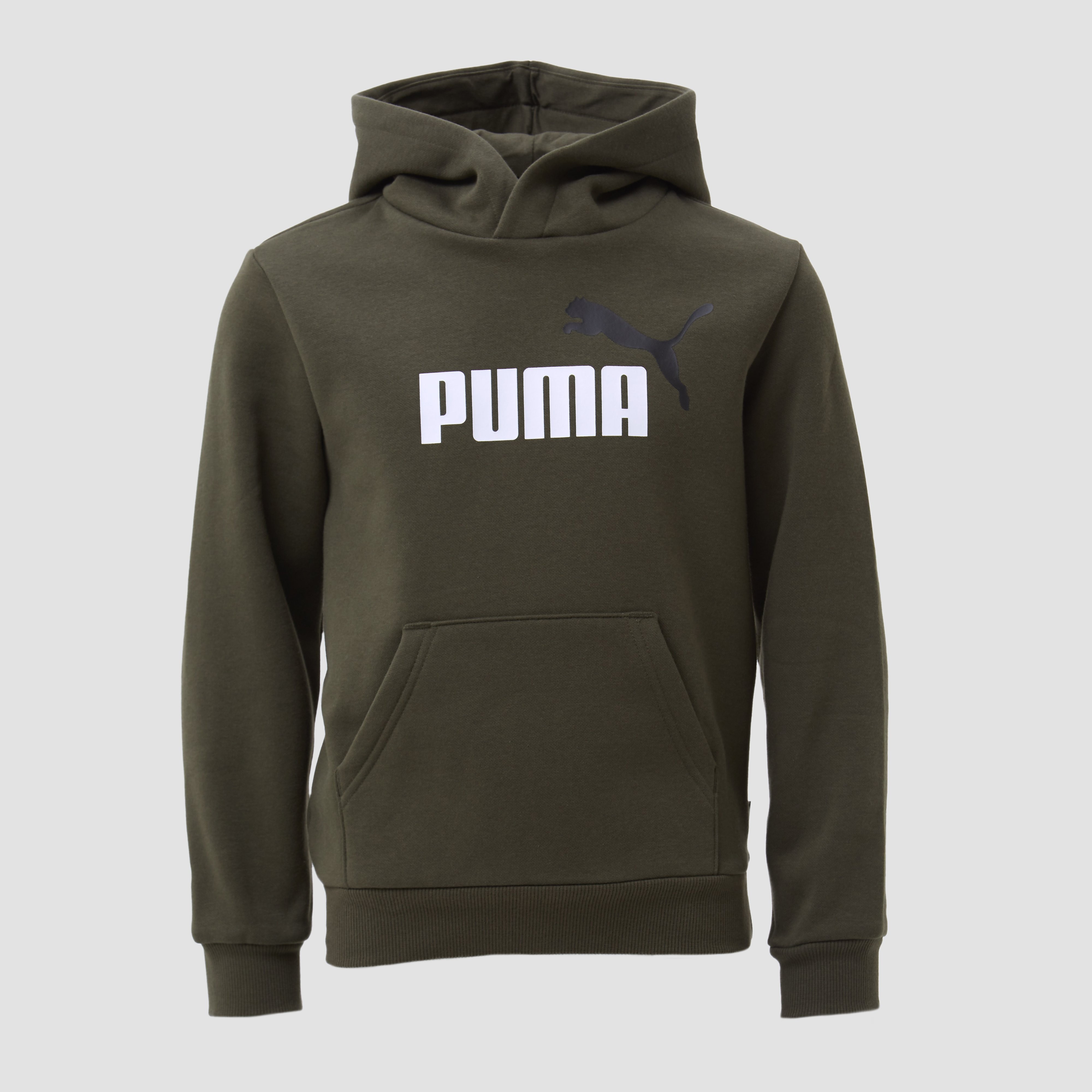 Puma Puma essentials+ hoodie groen kinderen kinderen