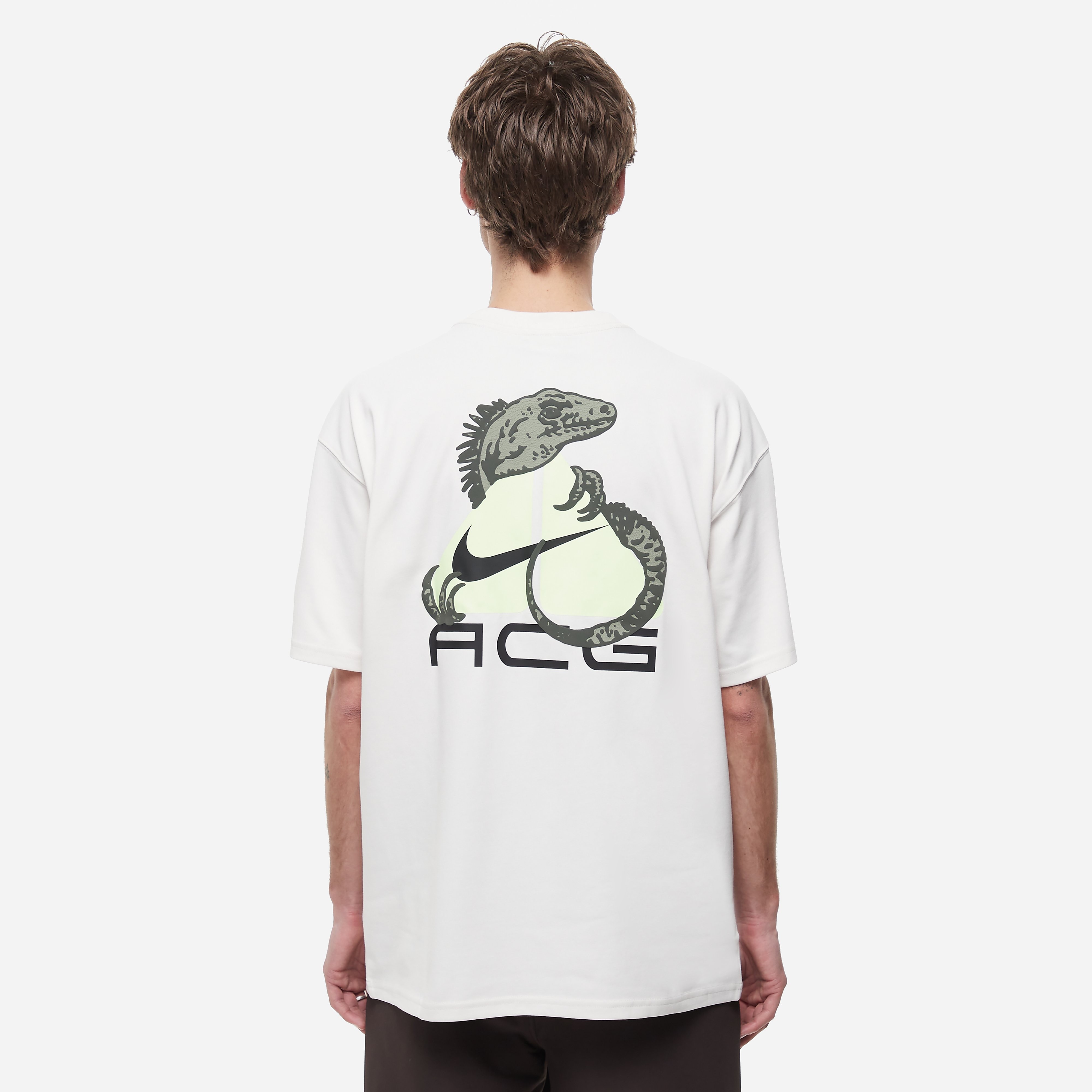 【NIKE acg】　ナイキ　イグアナ Dri-FIT Tシャツ　2XL Nike ACG Dri-FIT Iguana T-Shirt