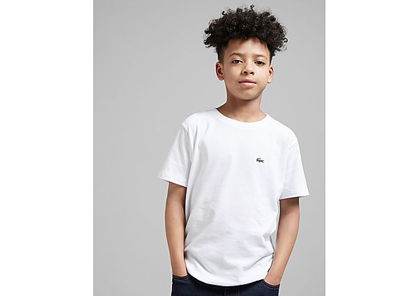 Lacoste T-shirt Small Logo Junior