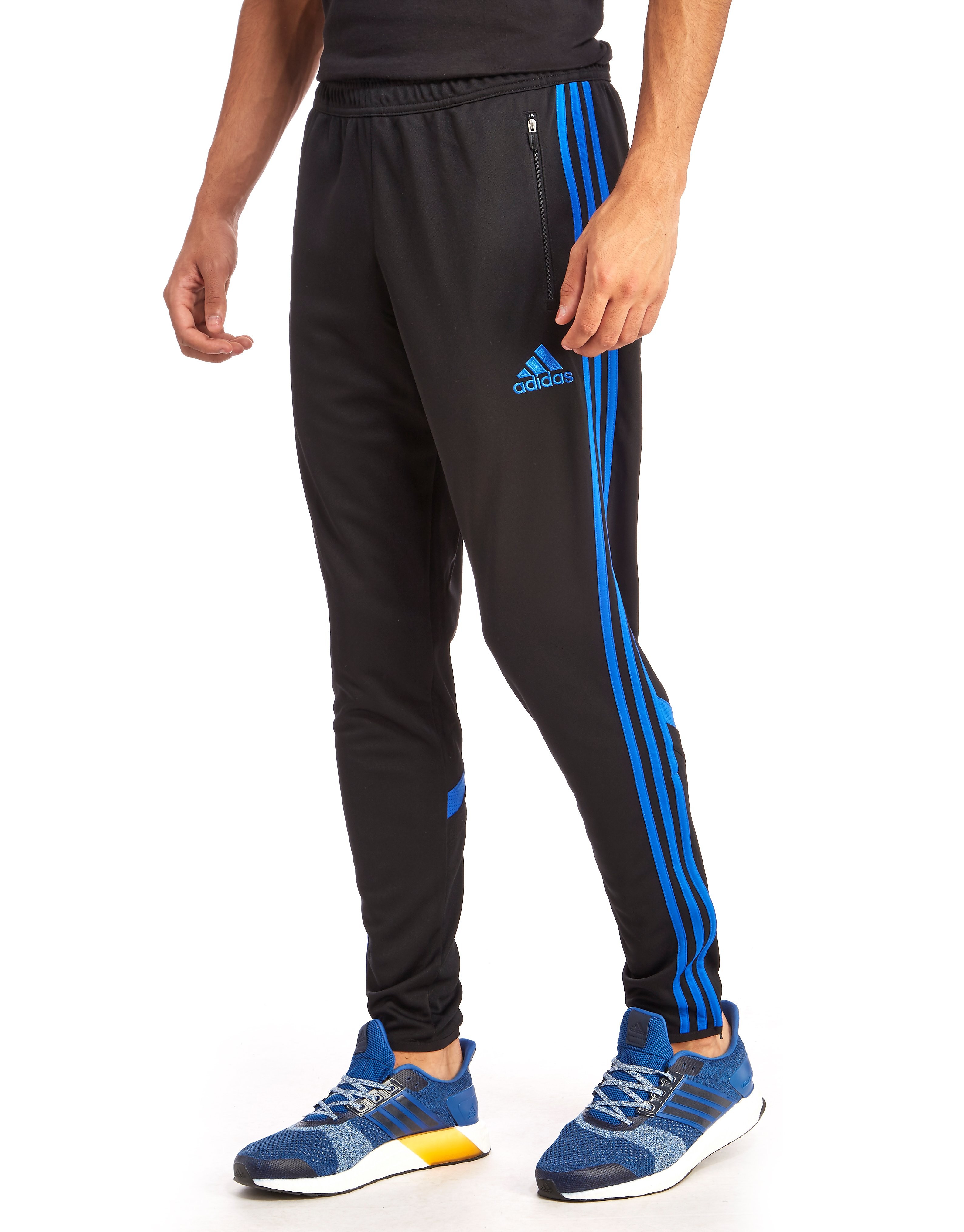 adidas Condivo Poly Training Pants - Black/Blue - Mens - Sports King Store