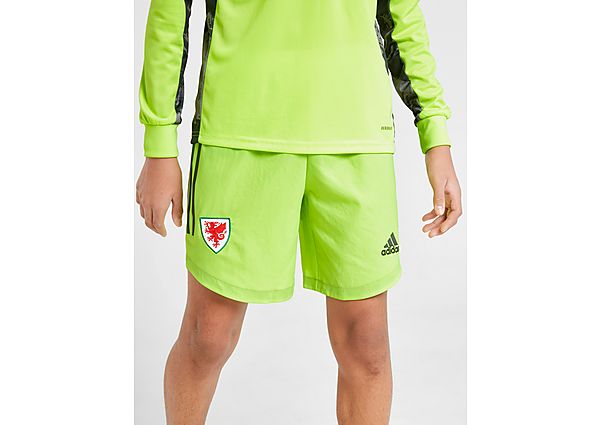 adidas Short Pays de Galles Gardien de but 2020 Domicile Junior - Green, Green