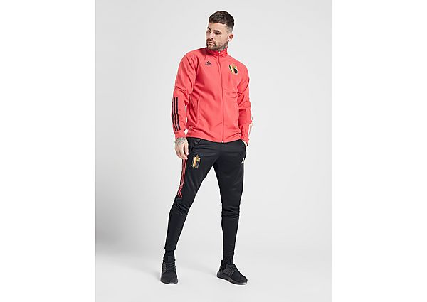 adidas Pantalon de Survêtement Belgique Entraînement Homme