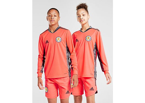 adidas Maillot Gardien de But Extérieur Ecosse FA 2020 Junior PRE