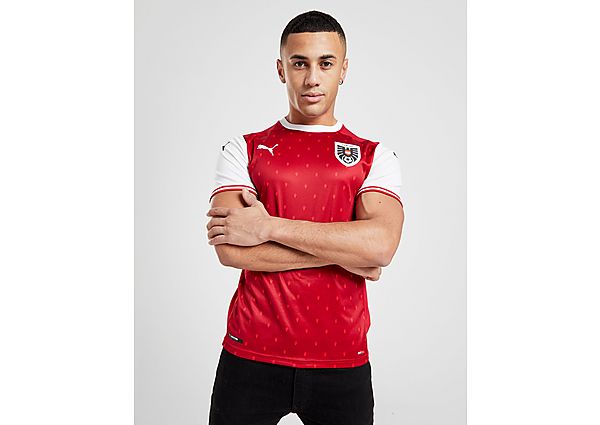 Puma Maillot Domicile Autriche Homme