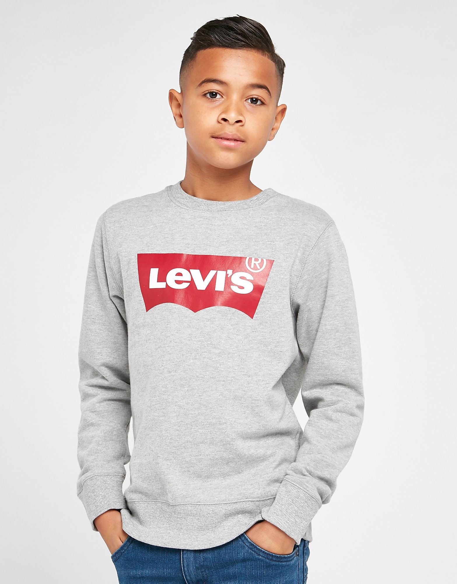 

Levis Batwing Crew Sweatshirt Junior - Grey - Kids, Grey