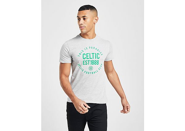 Official Team Celtic Paradise T-Shirt - Grey, Grey