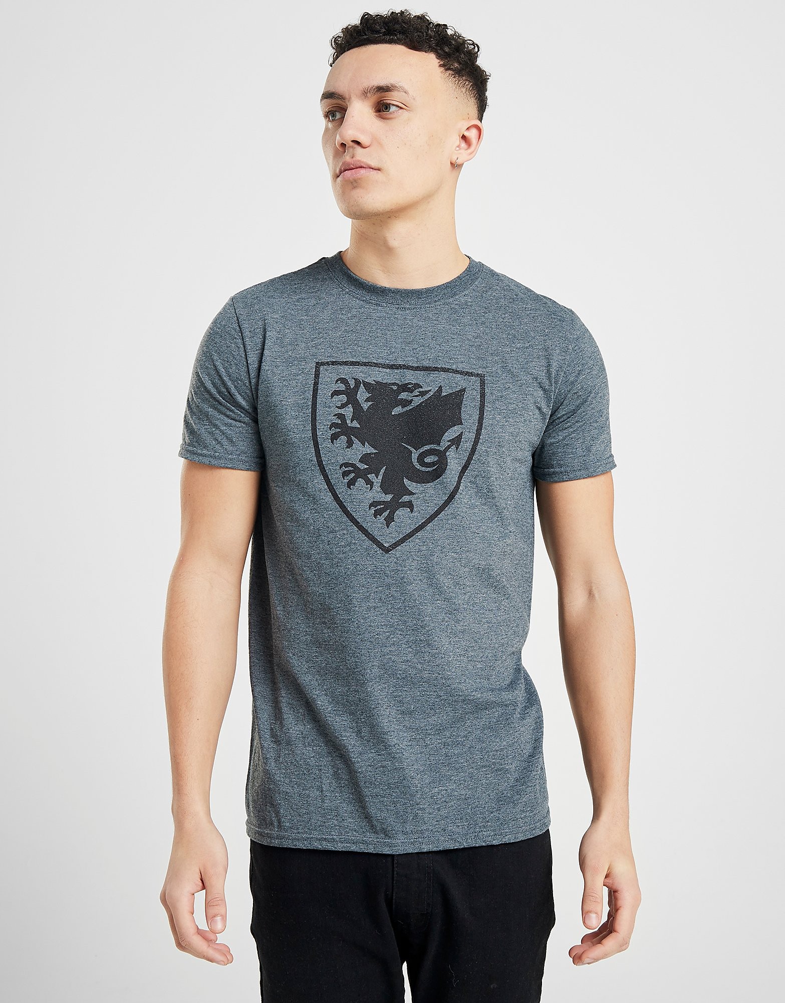 

Official Team Wales Crest Short Sleeve T-Shirt - Grey/Black - Mens, Grey/Black