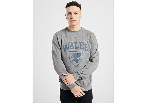 Official Team Sweat-shirt Pays de Galles Crew Homme - Grey, Grey