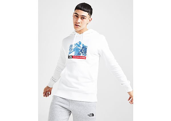 The North Face Sweat à capuche Mountain Homme