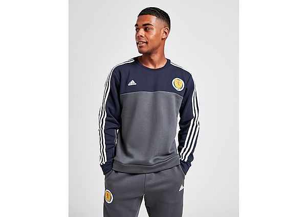 adidas Sweat-shirt Ecosse 3-Stripes Homme