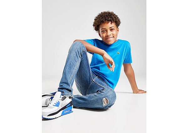Lacoste T-shirt Small Logo Junior