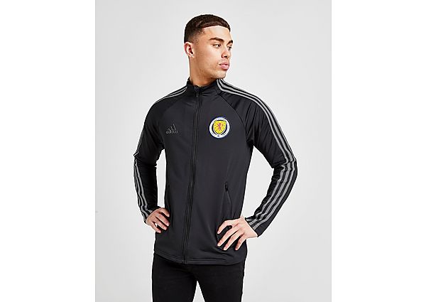 adidas Veste de Survêtement Ecosse Anthem Homme