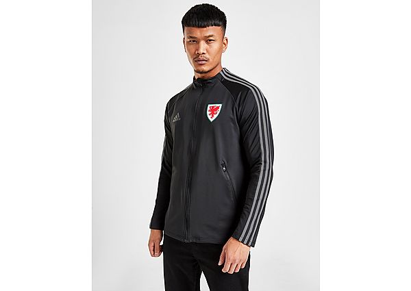 adidas Veste Pays de Galles Anthem Homme