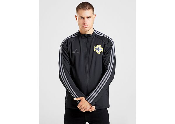 adidas Veste Irlande du Nord Anthem Homme