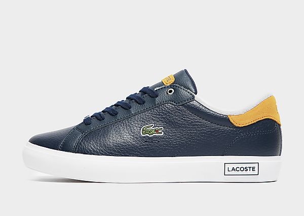 Lacoste Baskets Powercourt Homme