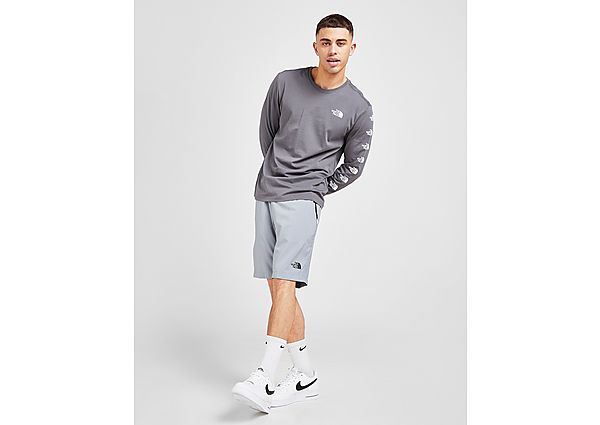 The North Face Short Performance Woven Homme