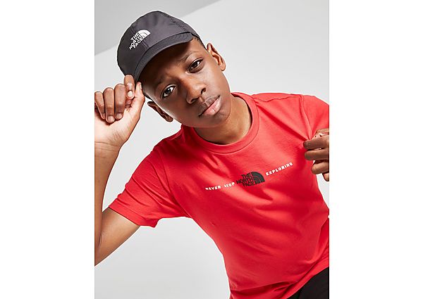 The North Face T-shirt Central Logo Enfant