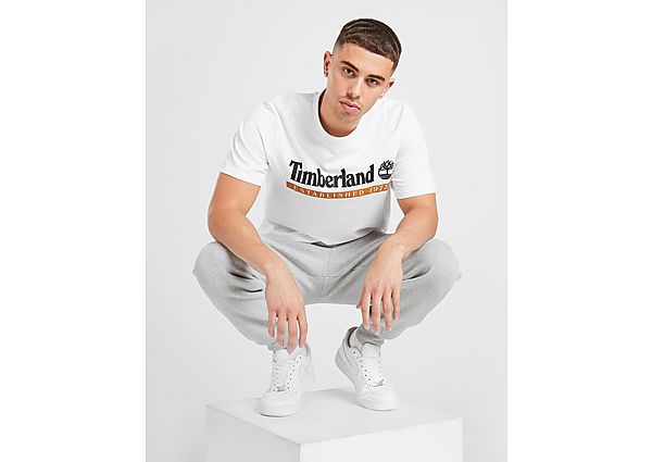 Timberland T-Shirt Linear Est. 1973 Homme