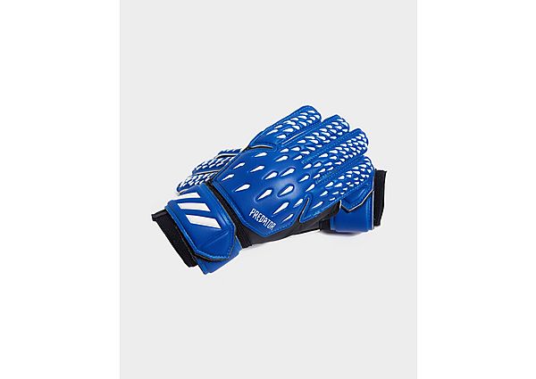 adidas Gants de Gardien de But Superlative Predator Training - Royal Blue / White / Black, Royal Blu
