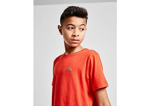 Lacoste T-shirt Small Logo Junior
