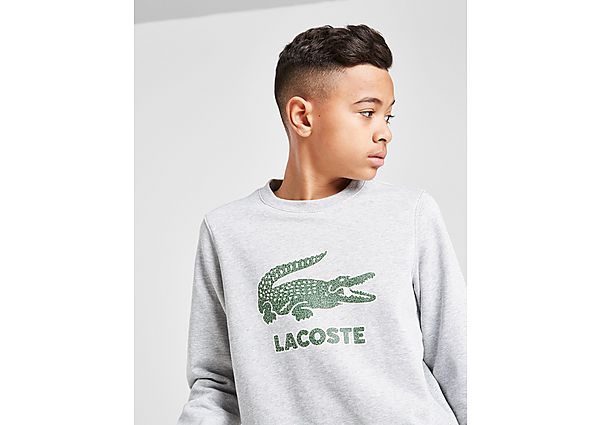 Lacoste Sweatshirt Crew Croc Large Junior