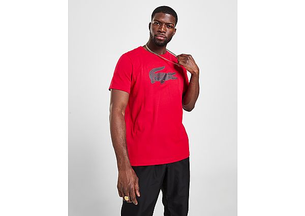 Lacoste T-Shirt Large Croc Logo Homme
