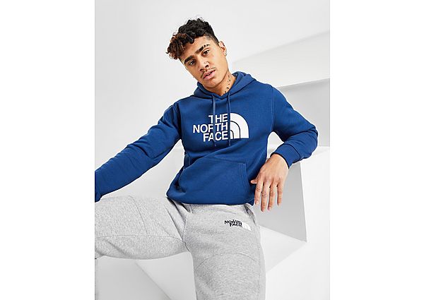 The North Face Sweat à Capuche Bondi Large Logo Homme