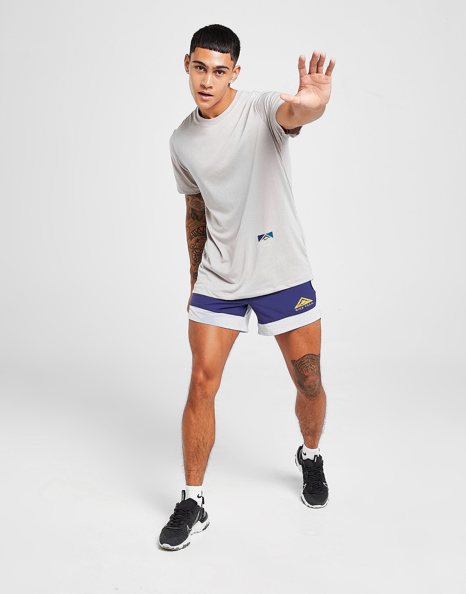 

Nike Flex Trail Shorts - Ghost/Dark Purple Dust/University Gold - Mens, Ghost/Dark Purple Dust/University Gold