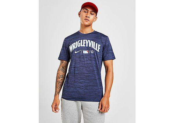 Nike MLB Chicago Cubs City Connect Velocity T-Shirt