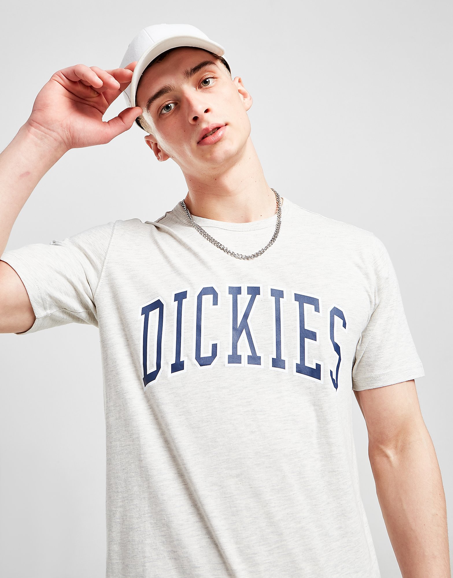 Dickies Aitkin T-Shirt - Grey, Grey