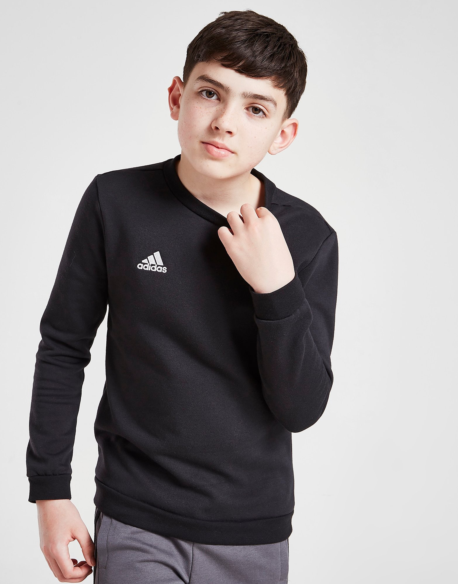 

adidas Entrada 22 Sweatshirt - Black - Kids, Black