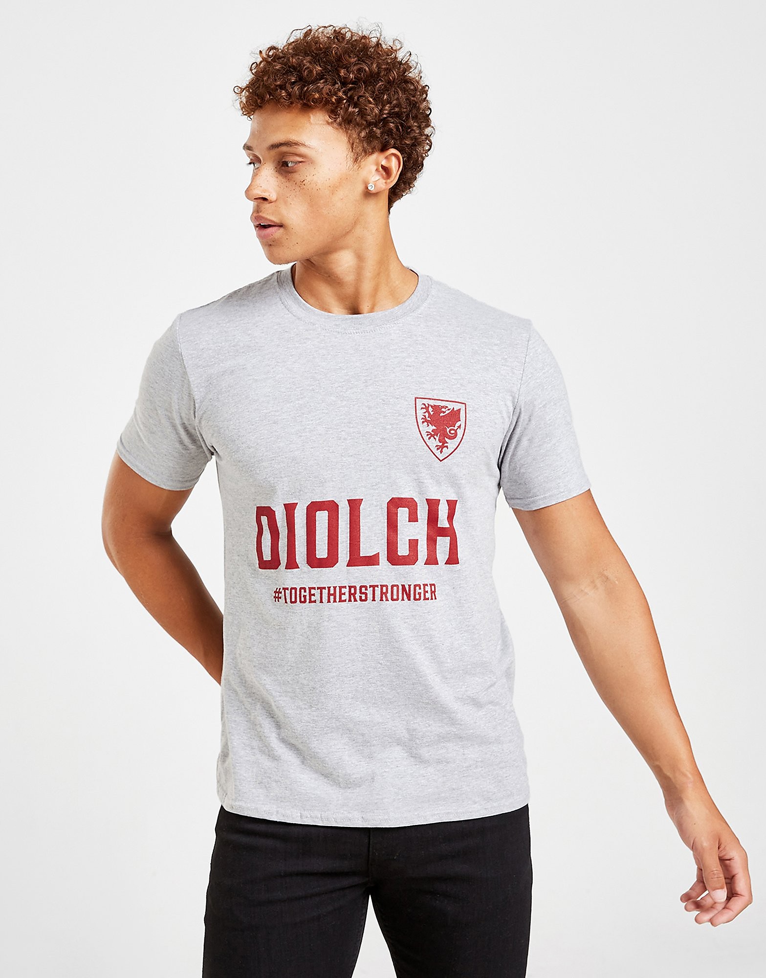 

Official Team Wales Diolch T-Shirt - Grey - Mens, Grey