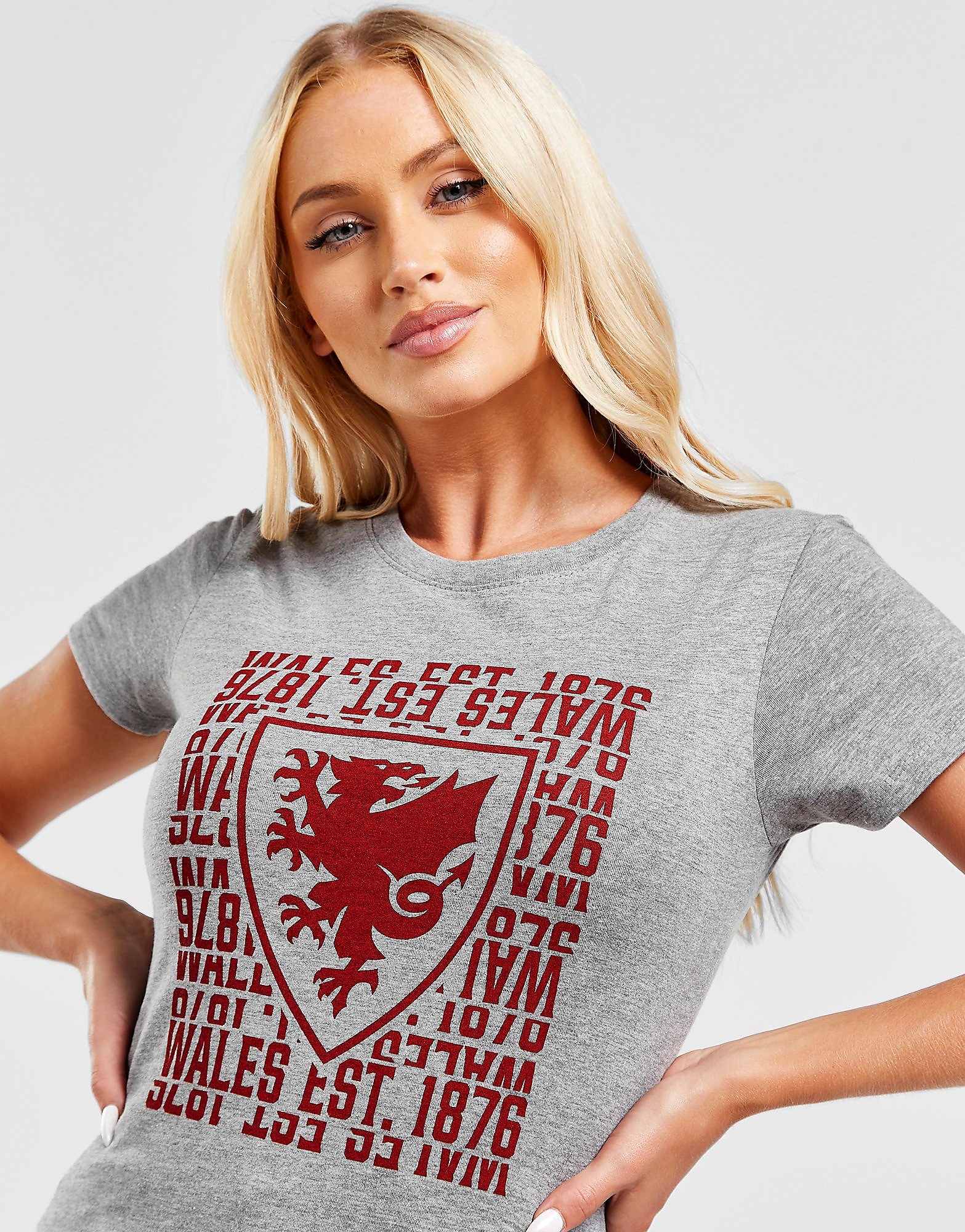 

Official Team Wales 1876 T-Shirt - Grey - Womens, Grey