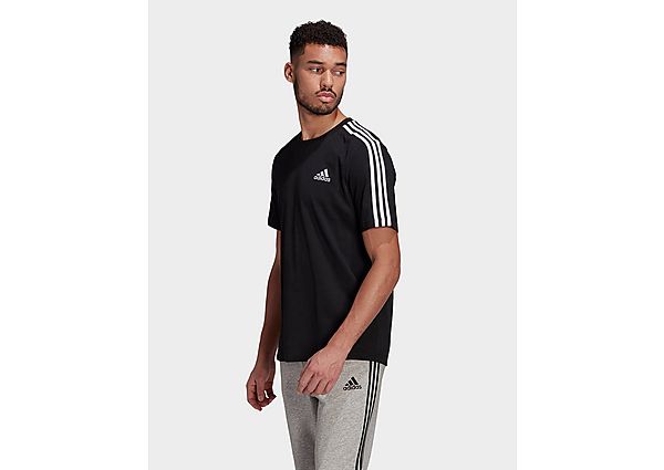 adidas T-shirt Essentials 3-Stripes - Black / White, Black / White
