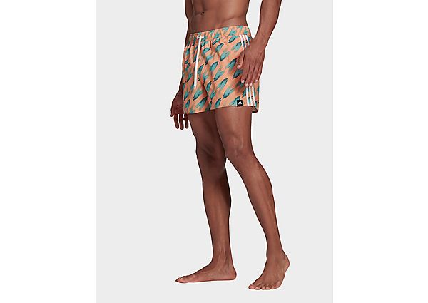 adidas Short de bain Graphic - Screaming Orange / Acid Mint, Screaming Orange / Acid Mint