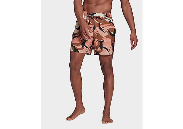 adidas Short de bain Short-Length Graphic - Wild Brown / Hazy Copper, Wild Brown / Hazy Copper