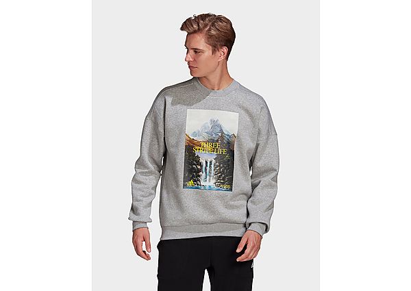 adidas Sweat-shirt Sportswear Mountain Graphic - Medium Grey Heather, Medium Grey Heather