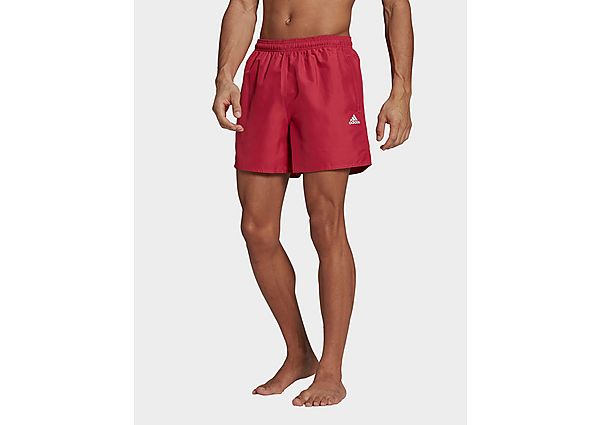 adidas Short de bain Solid - Wild Pink / White, Wild Pink / White