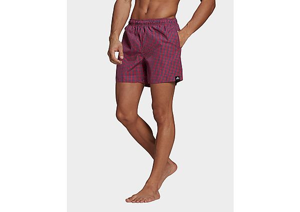 adidas Short de bain Check - Wild Pink / Crew Navy, Wild Pink / Crew Navy