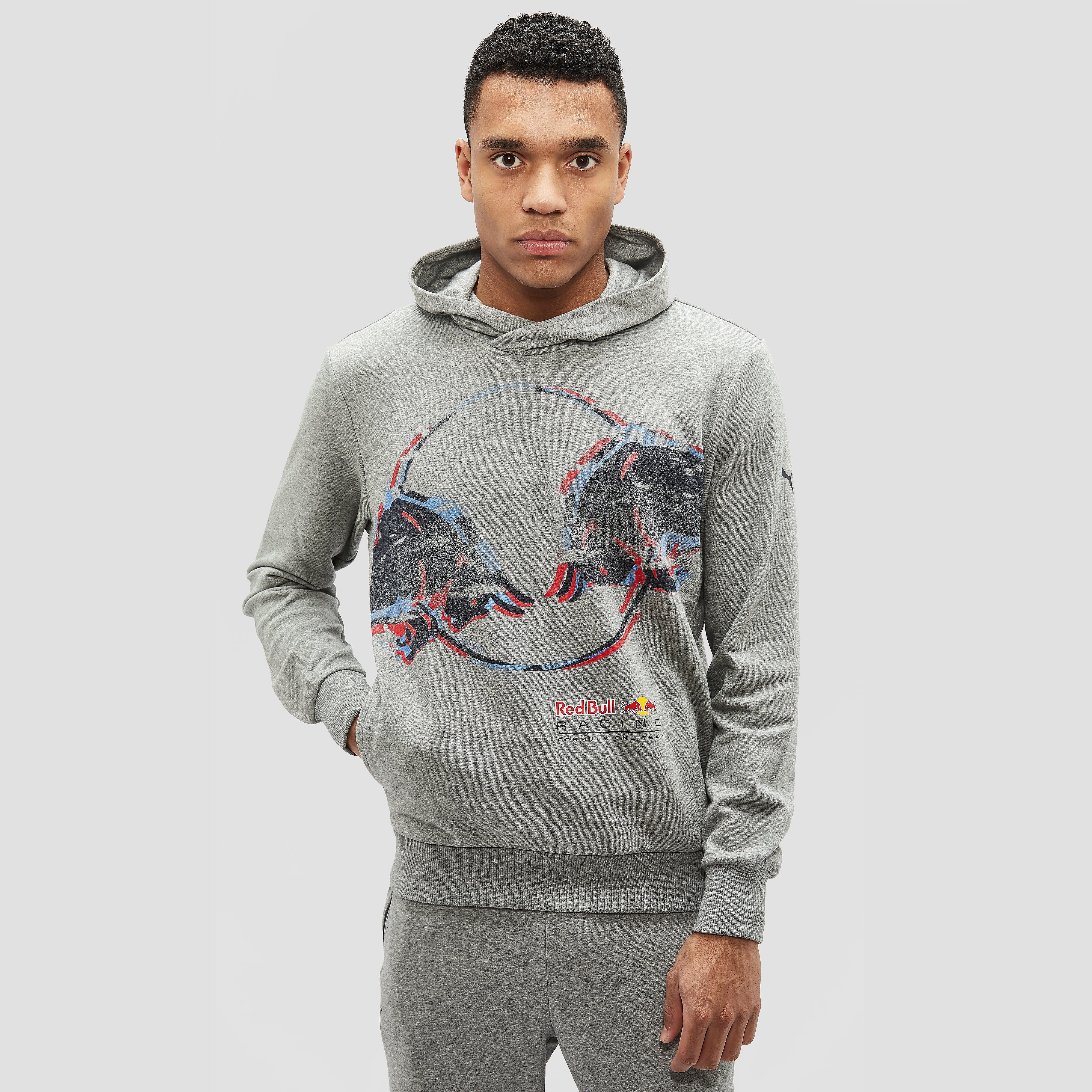 Puma Red Bull Db Hoodie puma kopen in de aanbieding