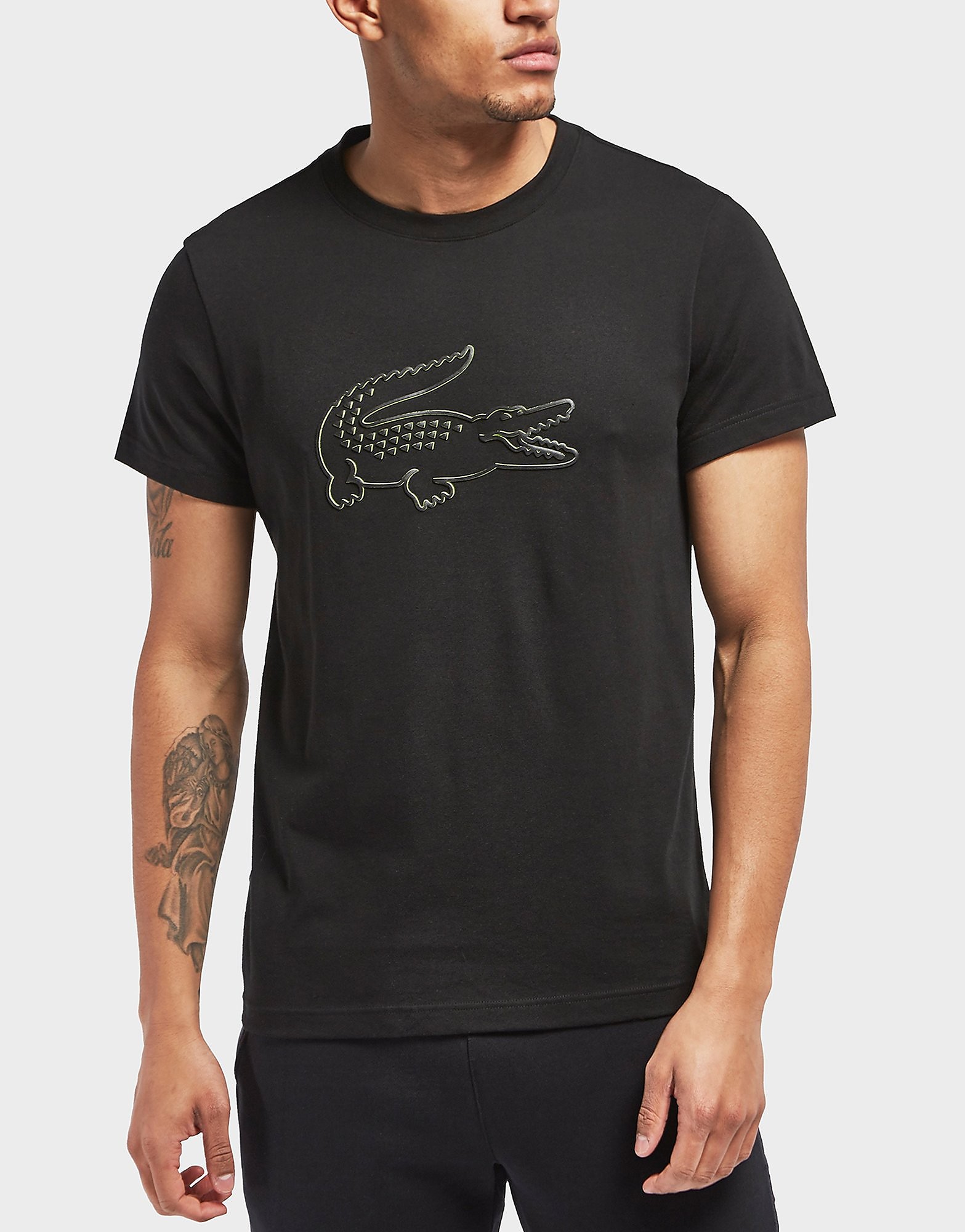 Abercrombie fitch толстовка мужская. Barbour белая футболка. Since одежда. Since на одежде. Толстовка 12.