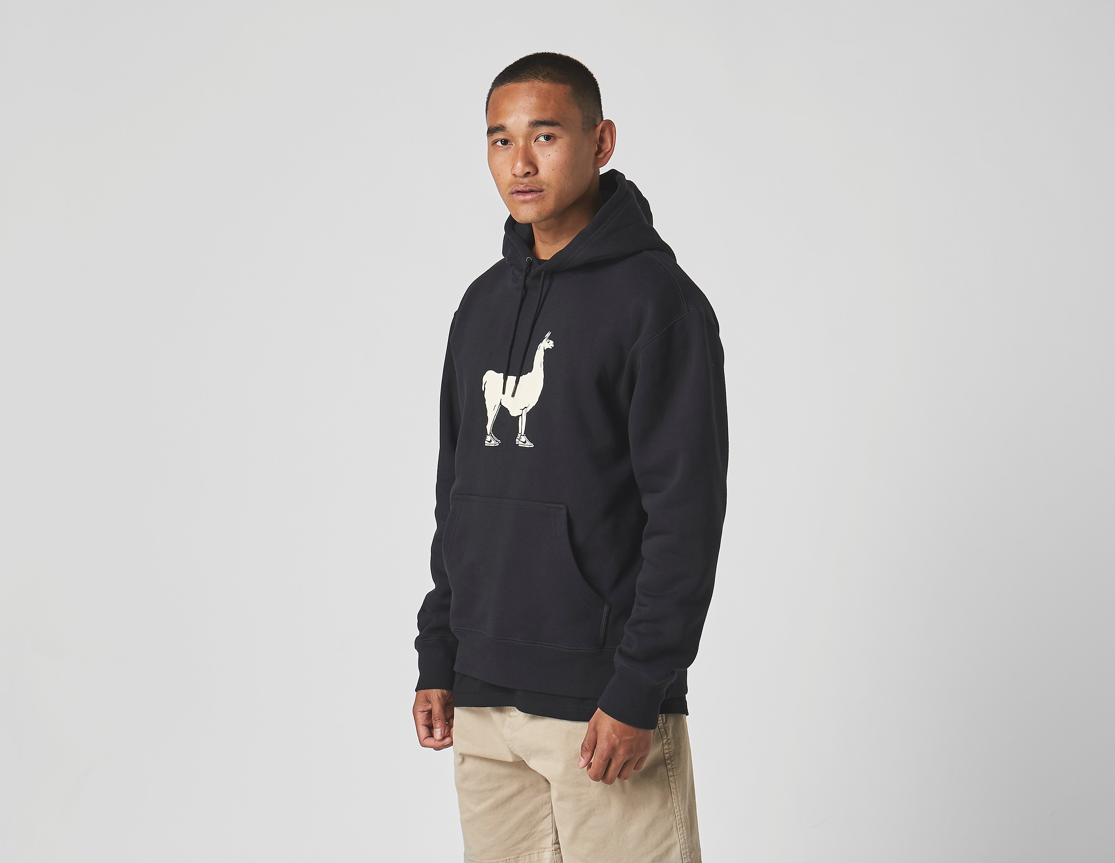 Nike SB Sweat à Capuche SB Paul The Llama Popover