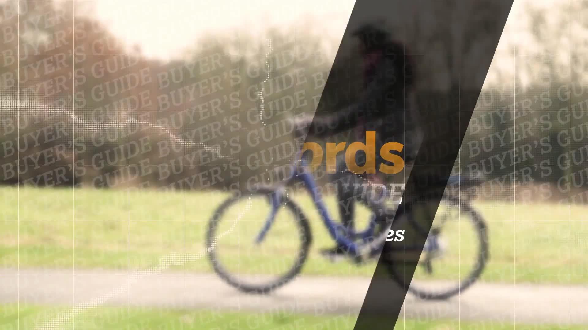 Electric Bikes Buyers Guide Halfords