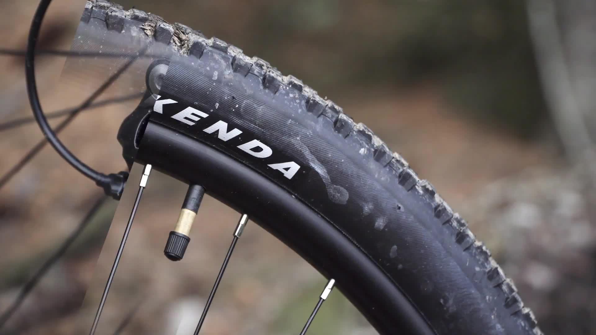 carrera vengeance tyres